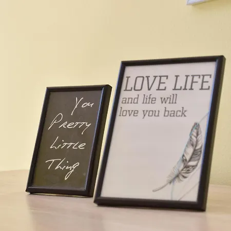 Vinkov's Center Appartement