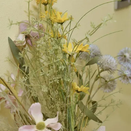 Daire Vinkov's Center Jajce